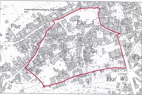 Bild vergr&ouml;&szlig;ern: Traubenbl&uuml;tenfest - Allgemeinverf&uuml;gung Anlage 2026